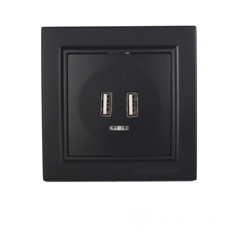 Розетка USB (2 порти) 2A Enzo  бездоганний графіт
