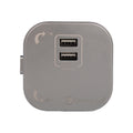 Розетка трекова подвійна USB 2.4 А Unique Elegance Pandora (срібло)